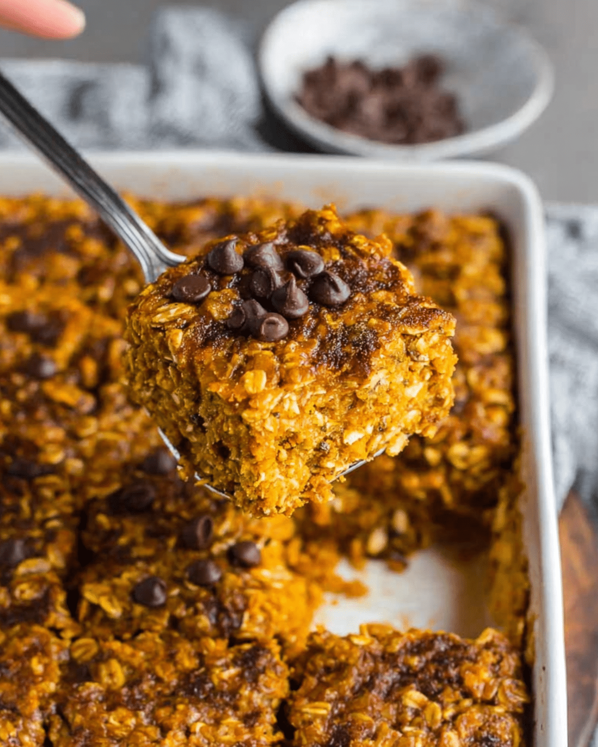 A square of pumpkin baked oatmeal topped with chocolate chips being lifted from a baking dish.