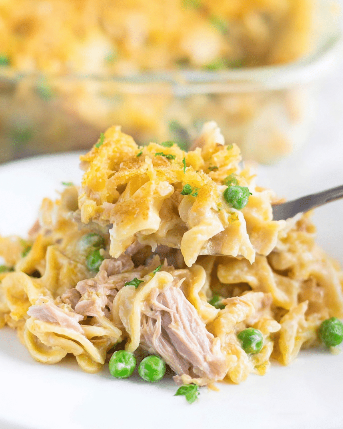 A serving of creamy tuna casserole with noodles, peas, and shredded tuna topped with golden breadcrumbs.