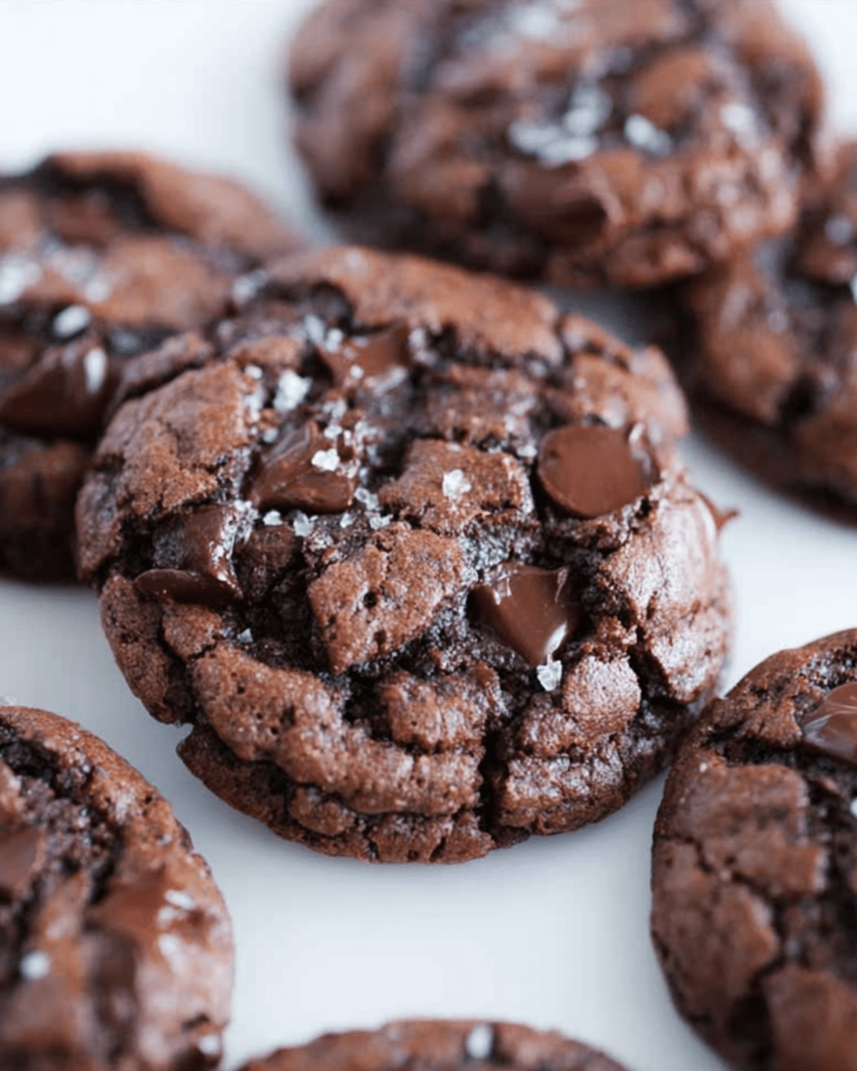 Close-up of triple chocolate cookies topped with flaky sea salt and loaded with melted chocolate chips.